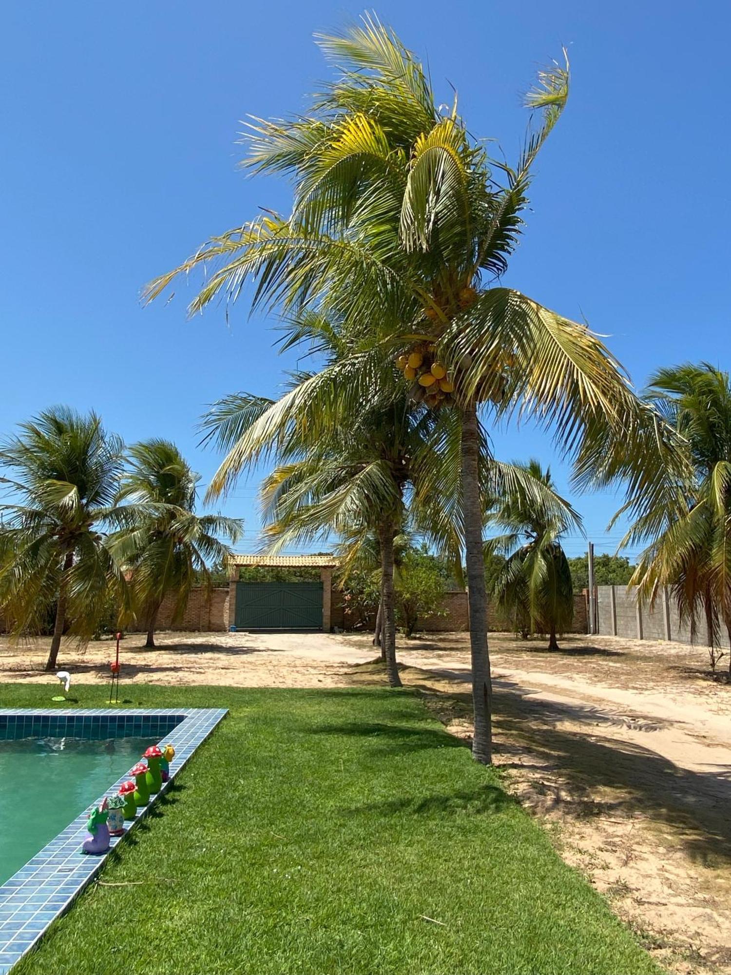 Sitio Sossego - A 5 Min Da Praia Das Fontes Бебериби Экстерьер фото